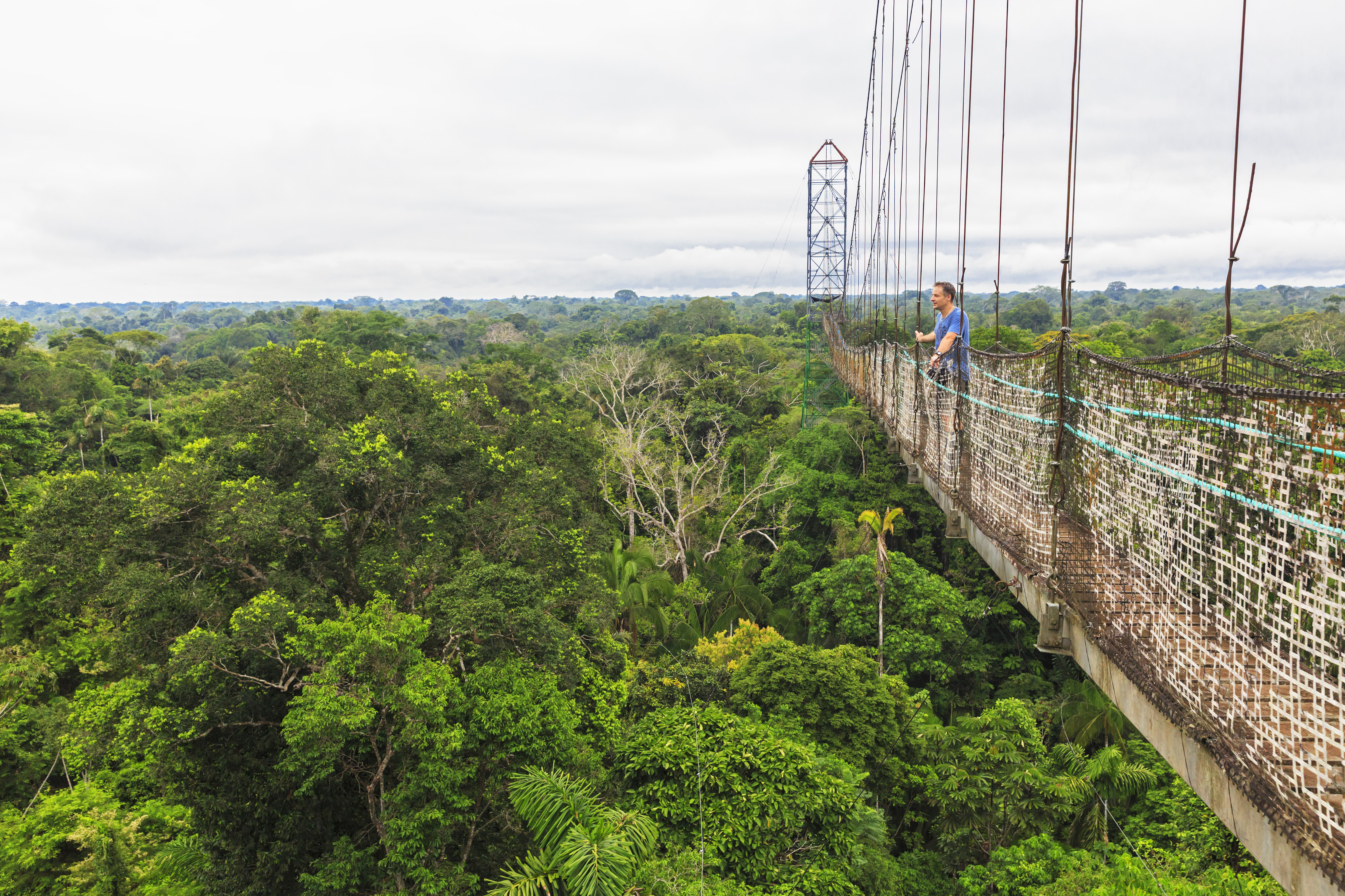 Amazonas
